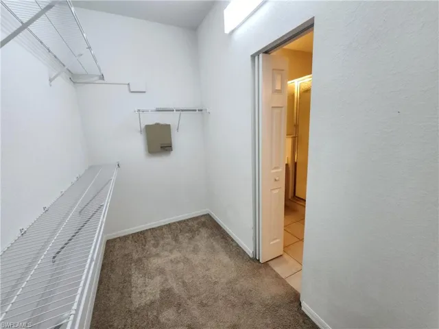 Spacious closet with light carpet