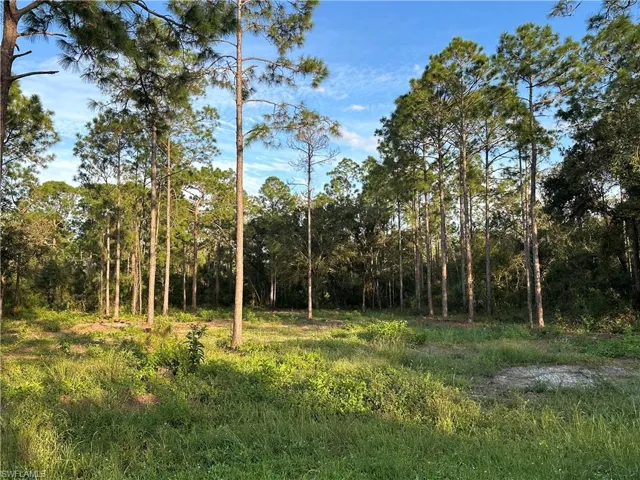 View of landscape
