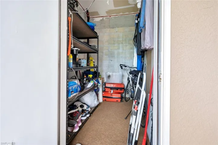 Spacious closet with carpet