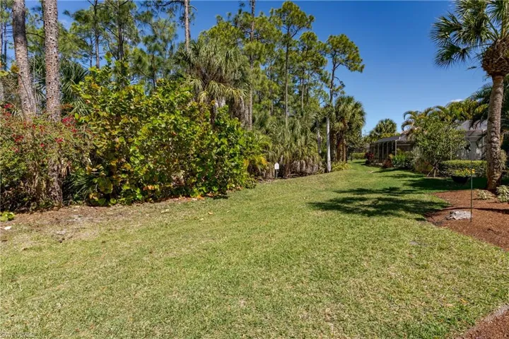 Massive backyard for kids to run and play!