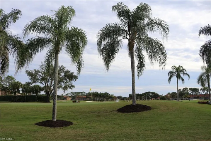 Just feel the tropical vibe of Royal Wood.