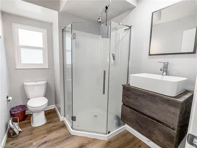 Full bathroom with a stall shower, wood finished floors, and vanity