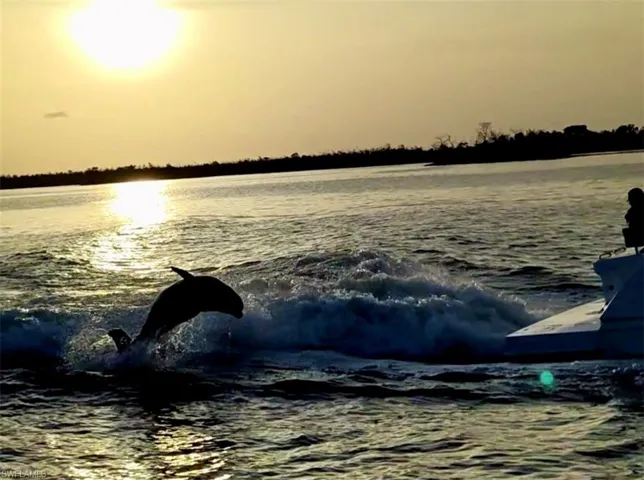 Hop on one our many cruises to explore the Gulf.