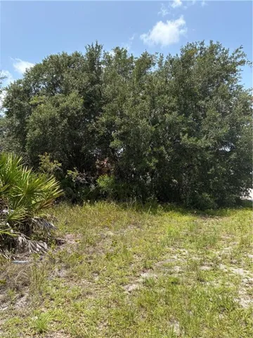 2521 68th, Lehigh Acres, Florida 33971