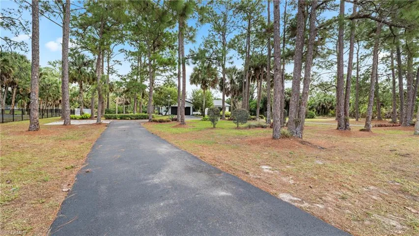 View of asphalt driveway