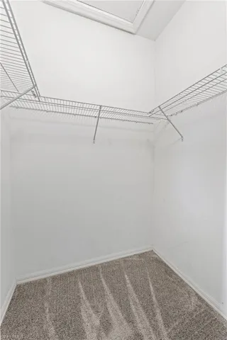 Walk in closet featuring carpet floors
