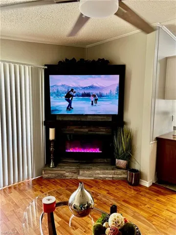 TV & FIREPLACE