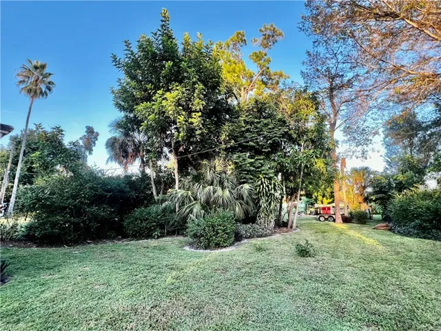 wooded area