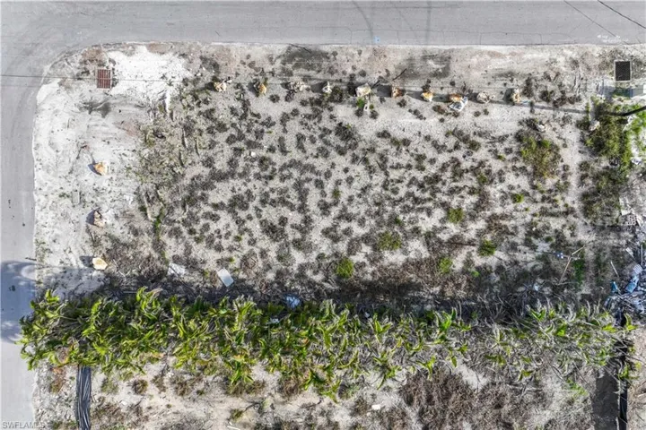 Aerial view of the lot footprint directly from above