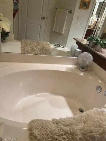 Master bath soaking tub