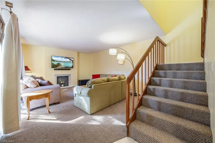 Living area featuring a fireplace and carpet