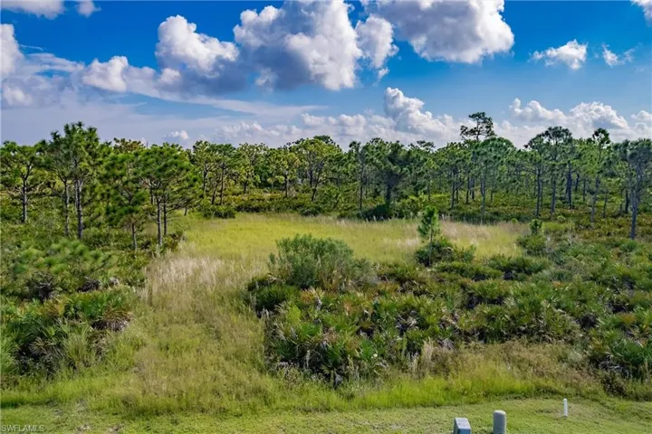 View of nature