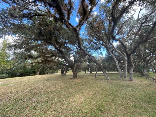 1339  ALEX  BLVD, Labelle, FL 33935