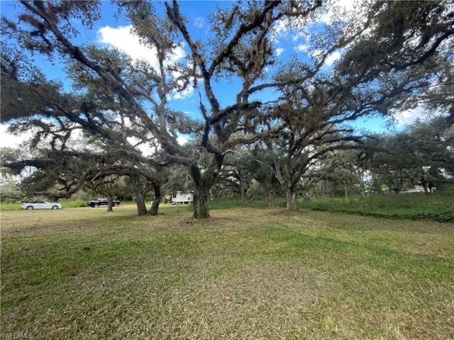 1339  ALEX  BLVD, Labelle, FL 33935