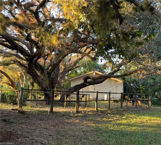 1339  ALEX  BLVD, Labelle, FL 33935
