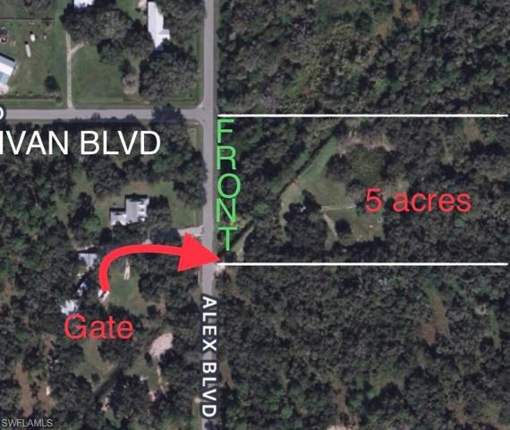 1339  ALEX  BLVD, Labelle, FL 33935