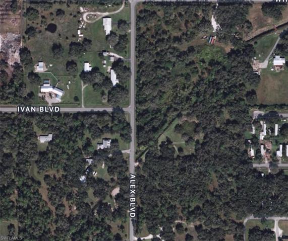 1339  ALEX  BLVD, Labelle, FL 33935