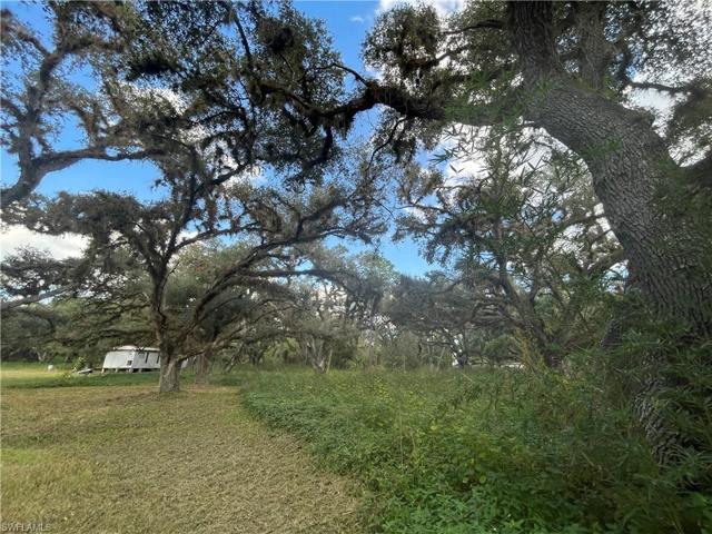 1339  ALEX  BLVD, Labelle, FL 33935