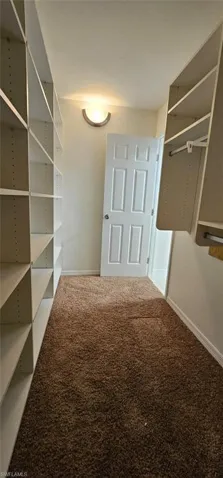 Walk in closet with carpet