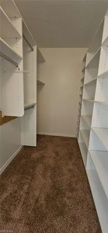 Spacious closet featuring dark colored carpet