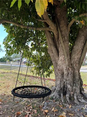 fruit tree with swing