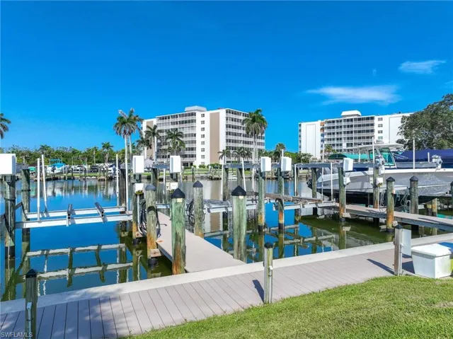 Dock with boat lift and a water view