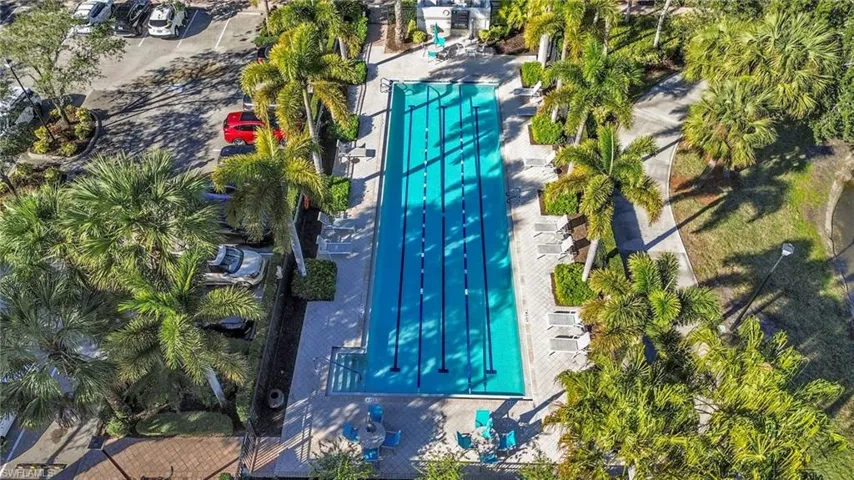 Lap Pool