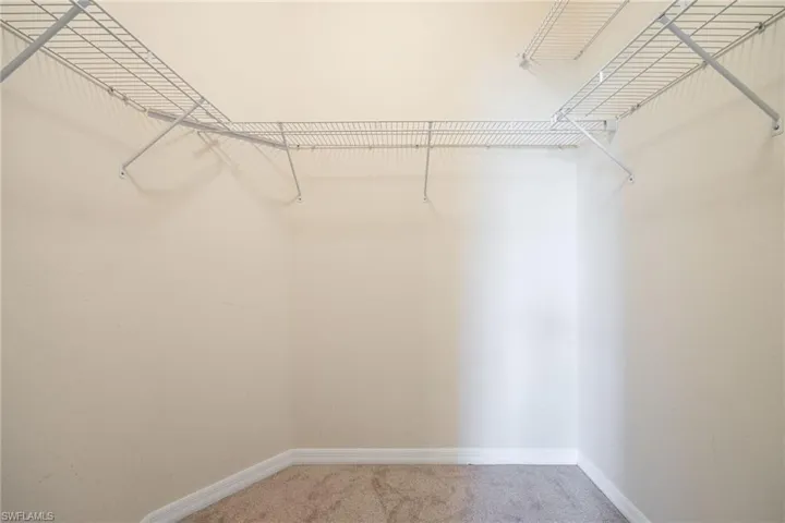 Spacious closet featuring carpet flooring