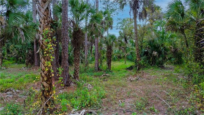 3588 36th AVE SE, NAPLES FL 34117