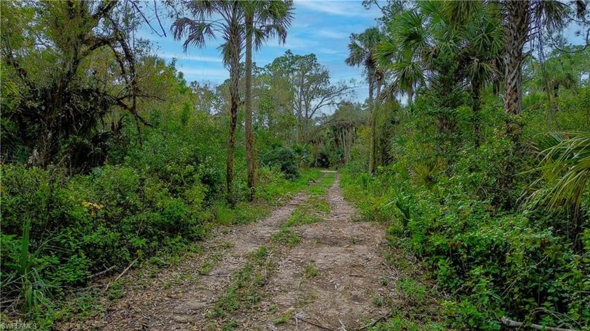 3588 36th AVE SE, NAPLES FL 34117
