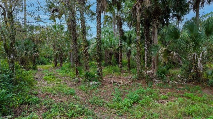 3588 36th AVE SE, NAPLES FL 34117