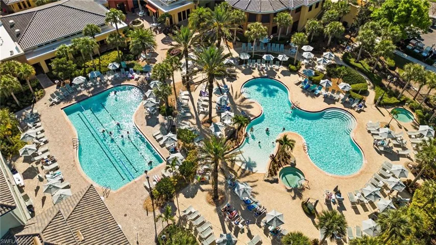 Dual aquatic areas with a lap pool and freeform pool, surrounded by mature palm trees, multiple lounge chairs, and umbrella-shaded seating areas