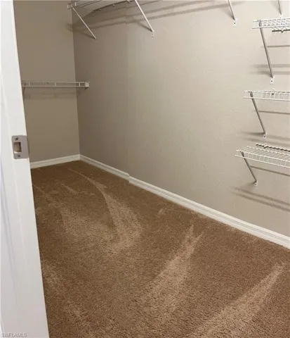 Walk in closet featuring carpet flooring