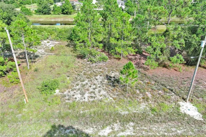View of yard with a water view and view of scattered trees