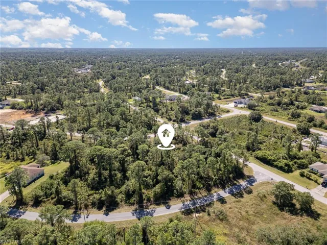 Aerial view of a forest