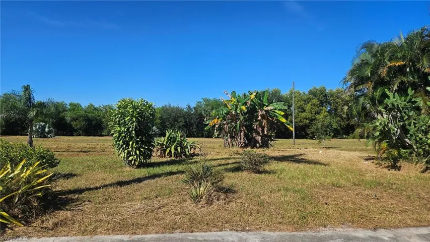 View of grassy yard