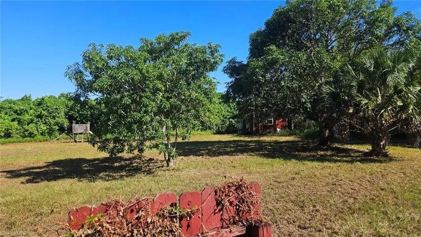 View of green lawn