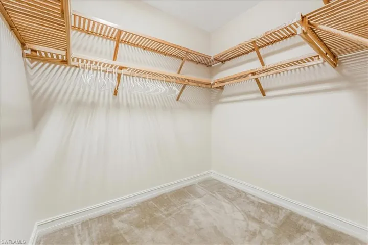 Spacious closet featuring carpet floors
