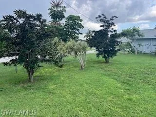 View of grassy yard