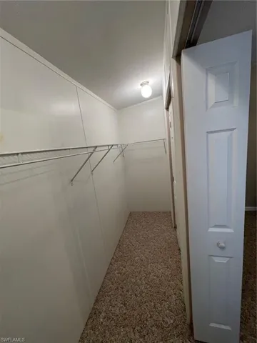 Spacious closet featuring carpet floors