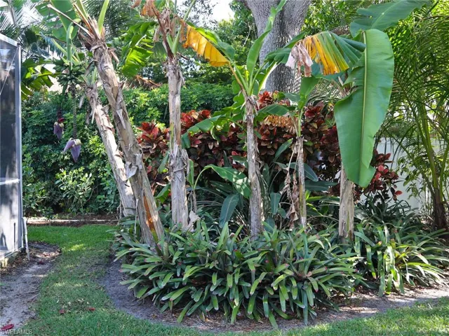 2554 Outrigger Ln, Naples, Florida 34104
