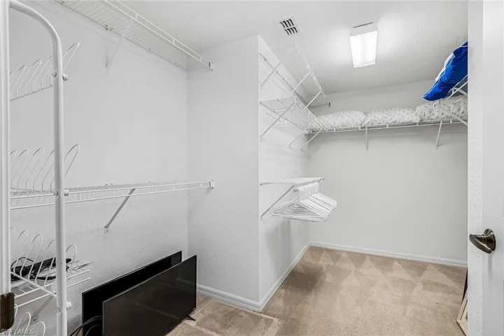 Spacious closet featuring carpet floors