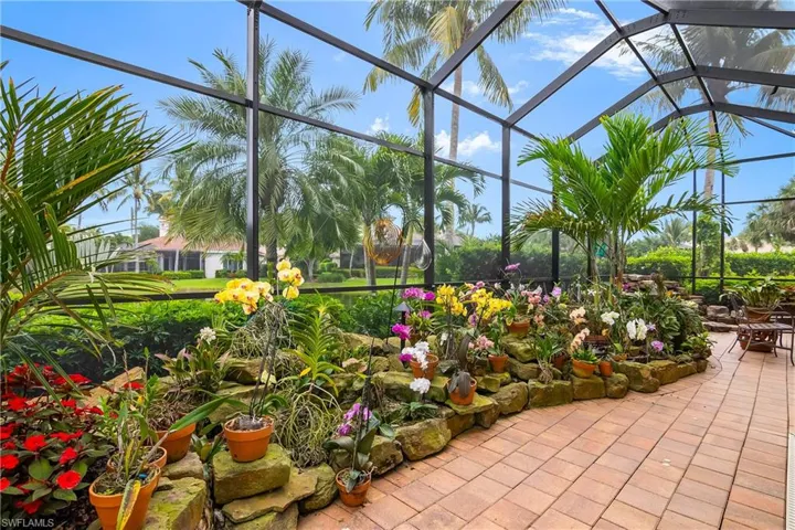 Orchid plants in bloom