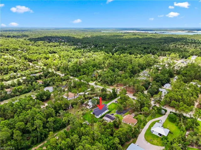 Aerial perspective of a single-story residence surrounded by lush green foliage