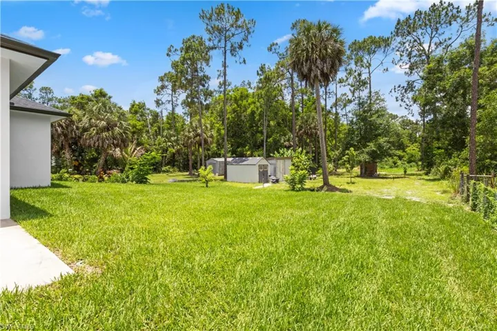Expansive rear yard featuring a large grass area, mature palm trees, various additional trees, and two storage sheds