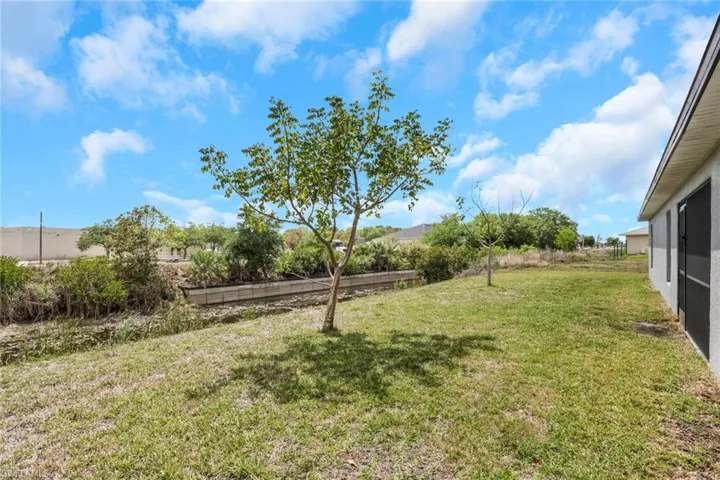View of grassy yard