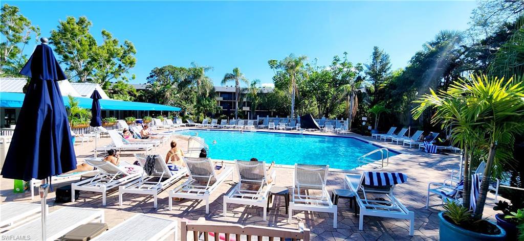 Beautiful pool area next to Hogfish Harry's restaurant