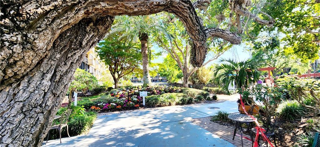Beautiful grounds