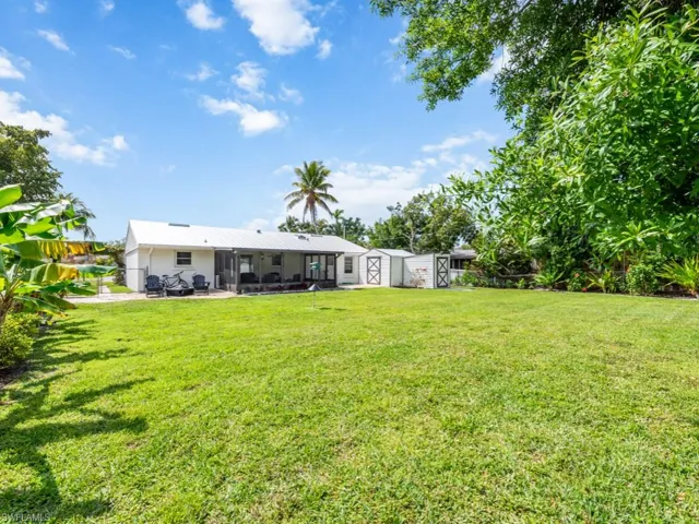 back yard