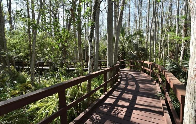Boardwalk in Preserve